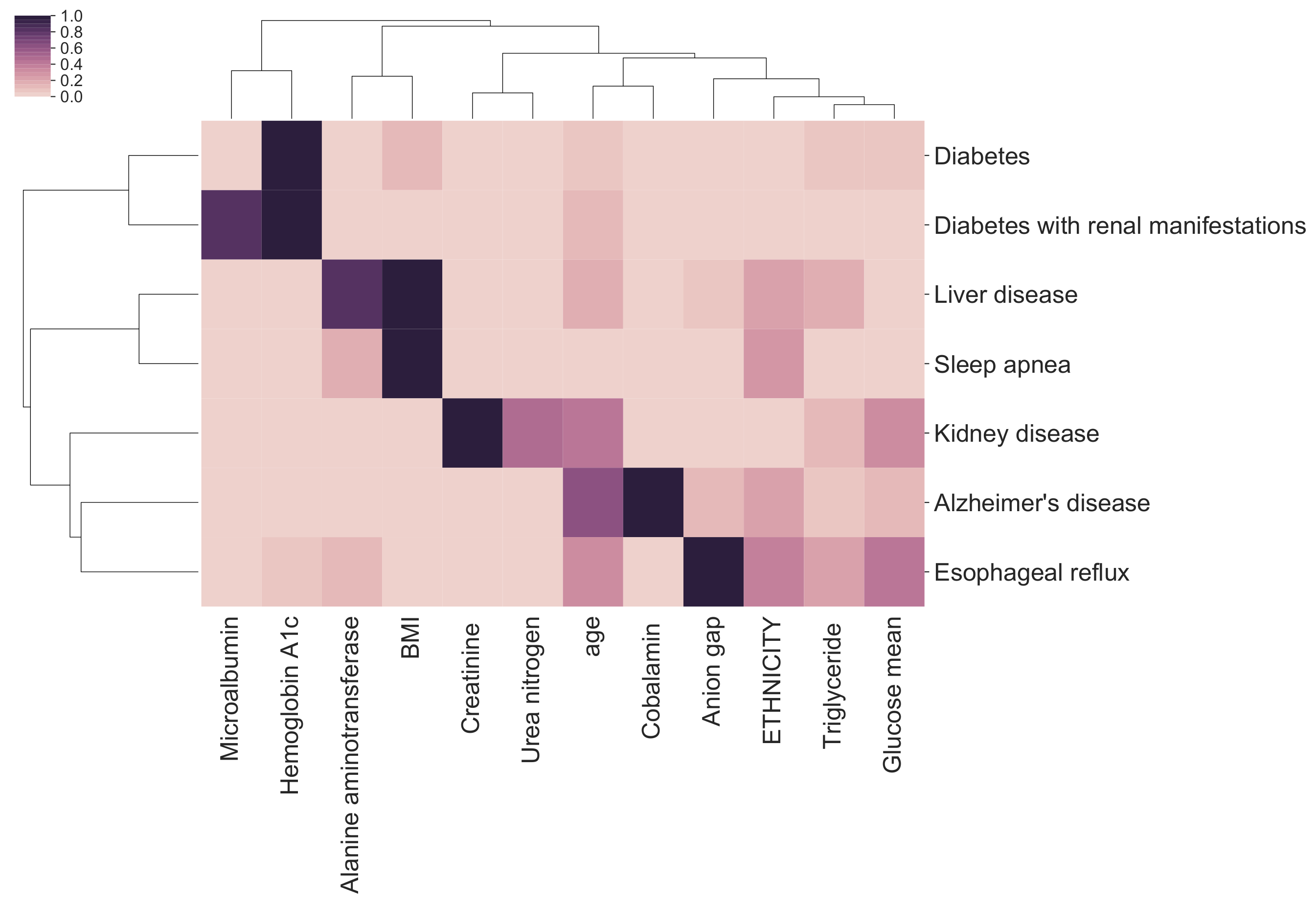 Feature importance bi-clustering across diseases and predictors.